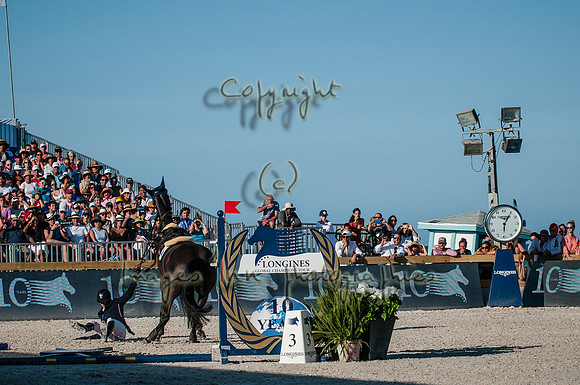 2015-04-04_BrendaKnollBudd_JOF-8021