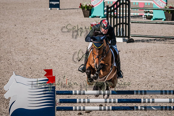 2015-02-04_BrendaKnollBudd_C5-5046