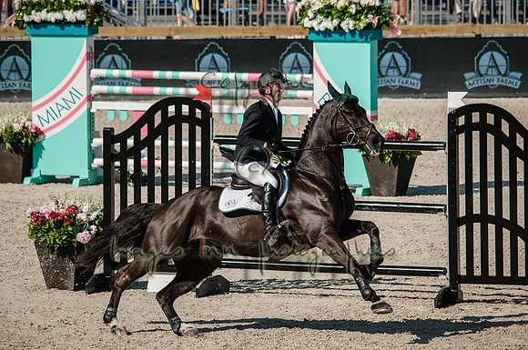 2015-02-04_BrendaKnollBudd_C5-4634