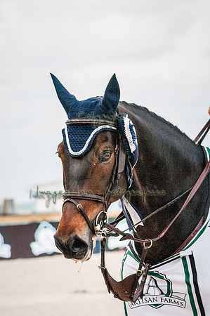 2015-02-04_BrendaKnollBudd_C5-9848
