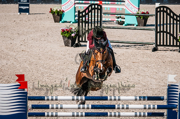 2015-02-04_BrendaKnollBudd_C5-4761