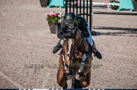 2015-02-04_BrendaKnollBudd_C5-5215