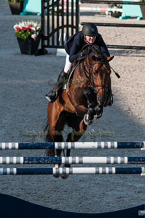 2015-02-04_BrendaKnollBudd_C5-9393
