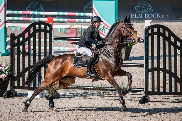 2015-02-04_BrendaKnollBudd_C5-4844