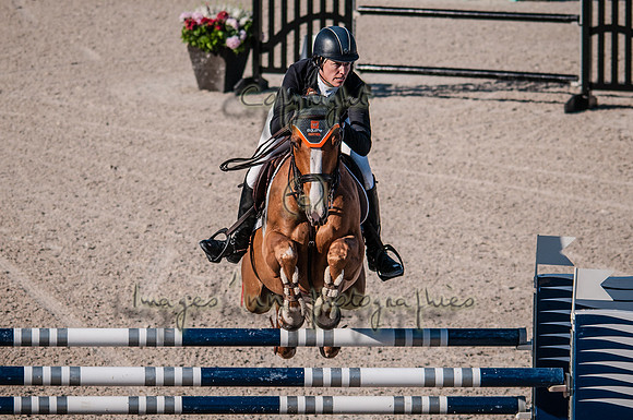 2015-02-04_BrendaKnollBudd_C5-9117