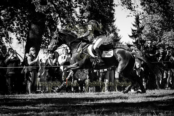 20161015_EKL_0479-2