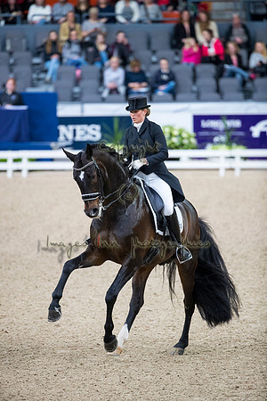 Morgan Barbancon-Sir Donnerhal II OLD-GOTH19L56434