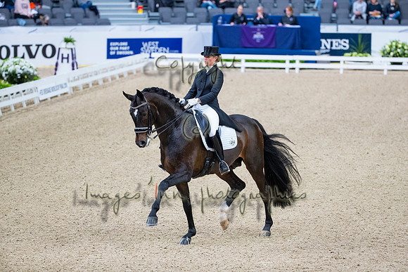 Morgan Barbancon-Sir Donnerhal II OLD-GOTH19L56444