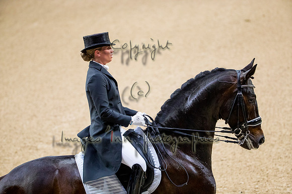 Morgan Barbancon-Sir Donnerhal II OLD-GOTH19L56426
