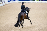 Morgan Barbancon-Sir Donnerhal II OLD-GOTH19L56402