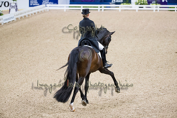 Morgan Barbancon-Sir Donnerhal II OLD-GOTH19L56402