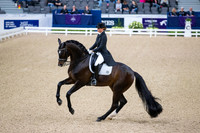 Morgan Barbancon-Sir Donnerhal II OLD-GOTH19L56435