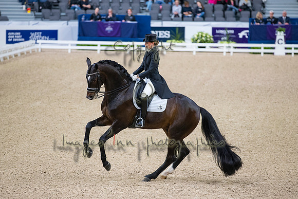 Morgan Barbancon-Sir Donnerhal II OLD-GOTH19L56435
