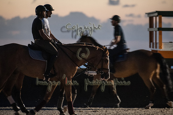 2015-04-04_BrendaKnollBudd_ Dawn-3553