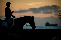 2015-04-04_BrendaKnollBudd_ Dawn-3796