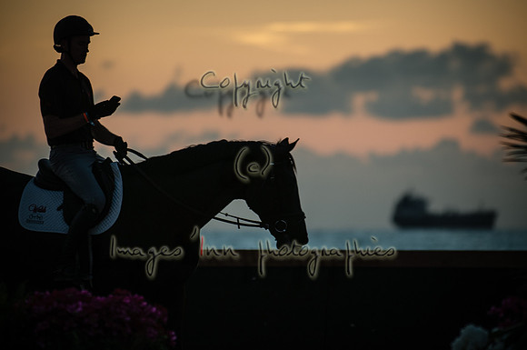 2015-04-04_BrendaKnollBudd_ Dawn-3796