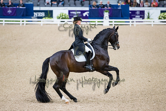 Morgan Barbancon-Sir Donnerhal II OLD-GOTH19L56436
