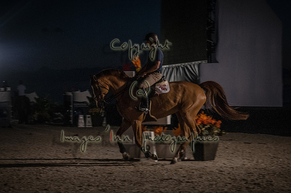 2015-04-04_BrendaKnollBudd_ Dawn-3490