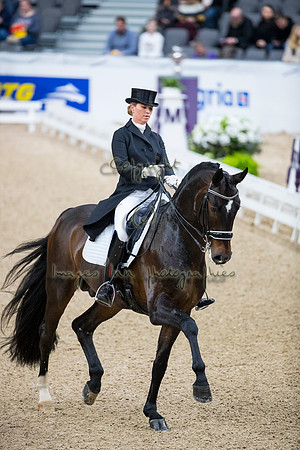 Morgan Barbancon-Sir Donnerhal II OLD-GOTH19L56397