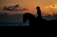 2015-04-04_BrendaKnollBudd_ Dawn-3955