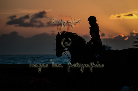 2015-04-04_BrendaKnollBudd_ Dawn-3955