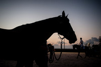 2015-04-04_BrendaKnollBudd_ Dawn-3707