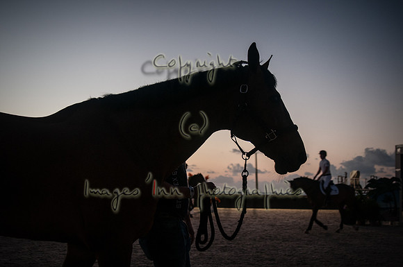 2015-04-04_BrendaKnollBudd_ Dawn-3707