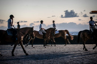2015-04-04_BrendaKnollBudd_ Dawn-3583