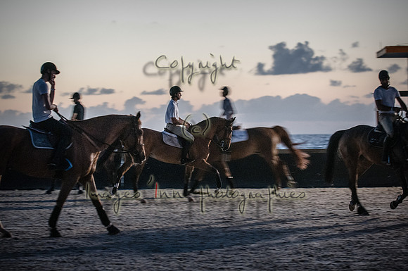 2015-04-04_BrendaKnollBudd_ Dawn-3583