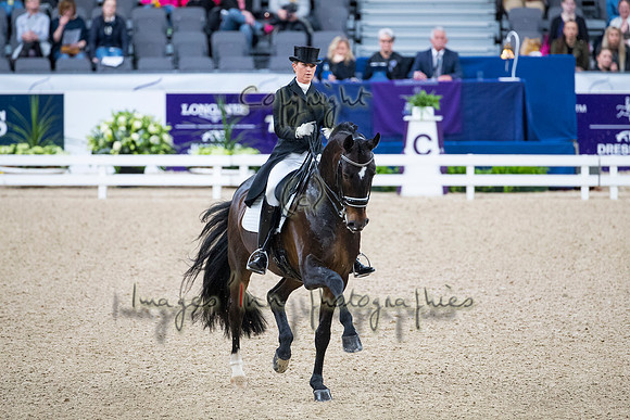 Morgan Barbancon-Sir Donnerhal II OLD-GOTH19L56394