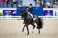Morgan Barbancon-Sir Donnerhal II OLD-GOTH19L56411