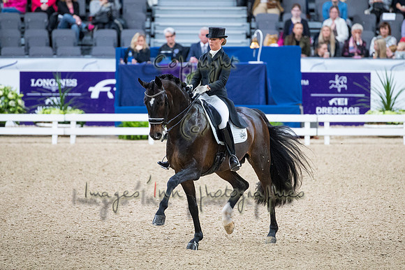 Morgan Barbancon-Sir Donnerhal II OLD-GOTH19L56411