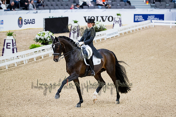 Morgan Barbancon-Sir Donnerhal II OLD-GOTH19L56445