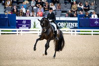 Morgan Barbancon-Sir Donnerhal II OLD-GOTH19L56432