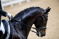 Morgan Barbancon-Sir Donnerhal II OLD-GOTH19L56390