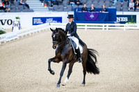 Morgan Barbancon-Sir Donnerhal II OLD-GOTH19L56430