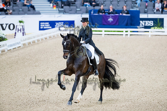 Morgan Barbancon-Sir Donnerhal II OLD-GOTH19L56430