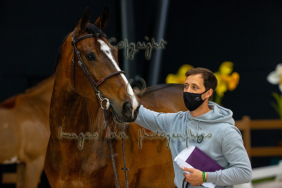 Kevin Staut-Visconti du Telman-DENB21L00407