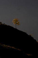 20071020_J7T_0004
