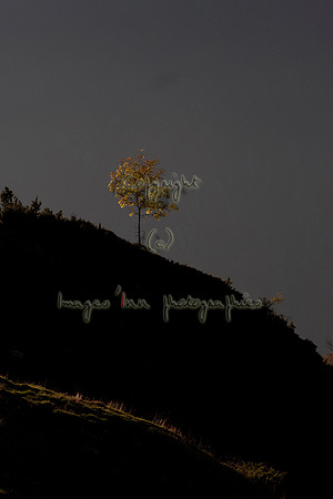 20071020_J7T_0004