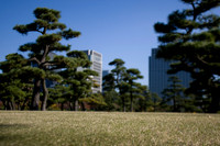 20081201_J7T_0051-1