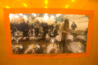 20080529_J7T_0034