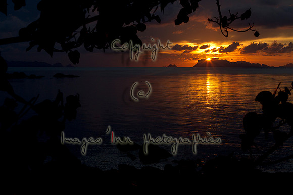 20120415_Y5G_0426