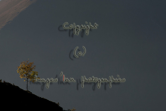 20071020_J7T_0002