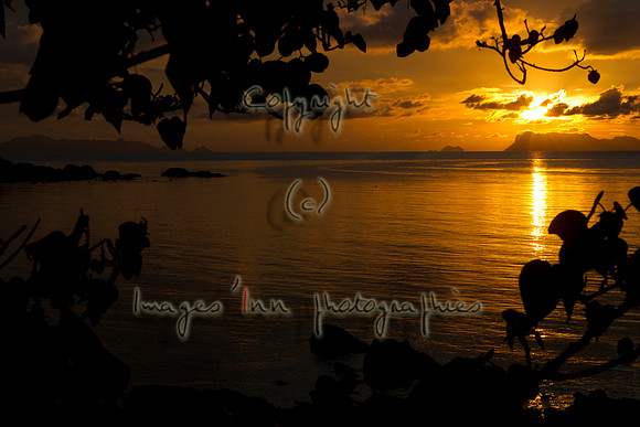 20120415_Y5G_0419