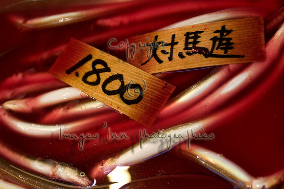 20081203_J7T_0051-1