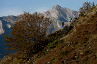 20061010_FOC_1097