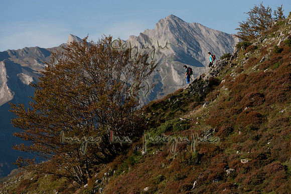 20061010_FOC_1097