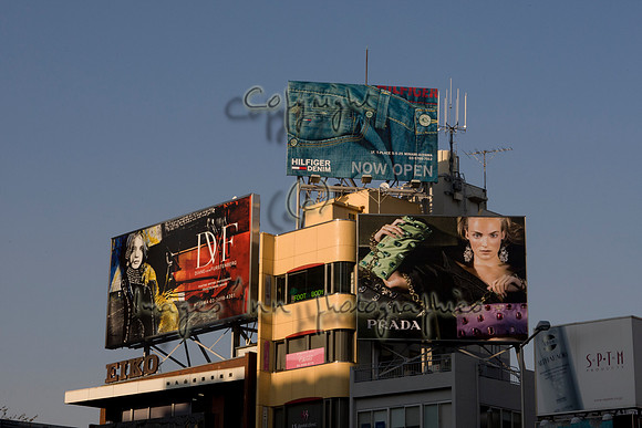20081204_J7T_0204-1