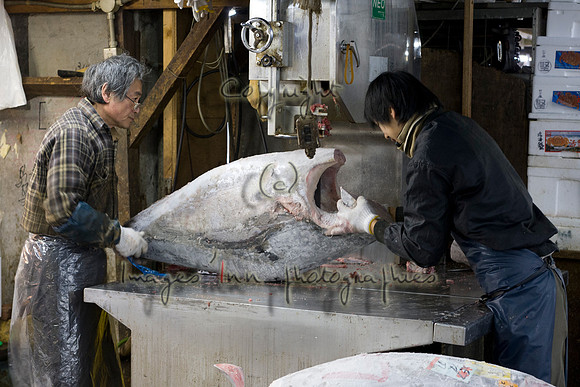 20081204_J7T_0063